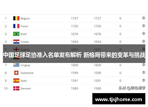 中国足球足协准入名单发布解析 新格局带来的变革与挑战